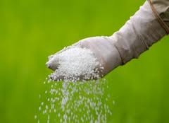 Під урожай-2017 сільгоспвиробники мають 465 тис. тонн мінеральних добрив